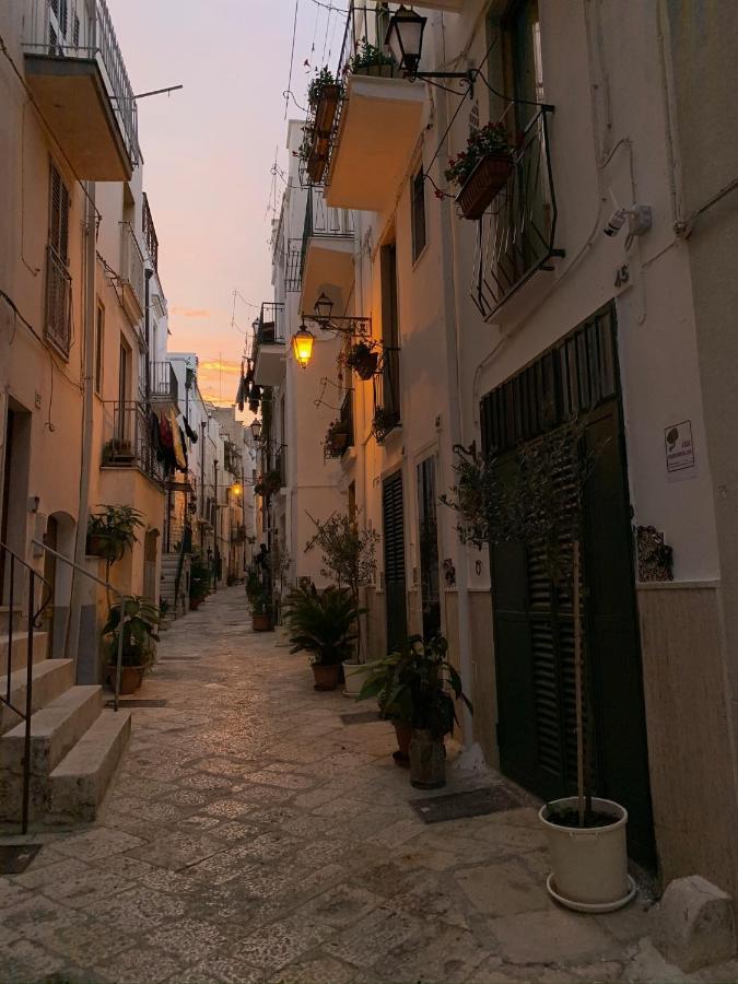fiori catene tra le torri Conversano Esterno foto