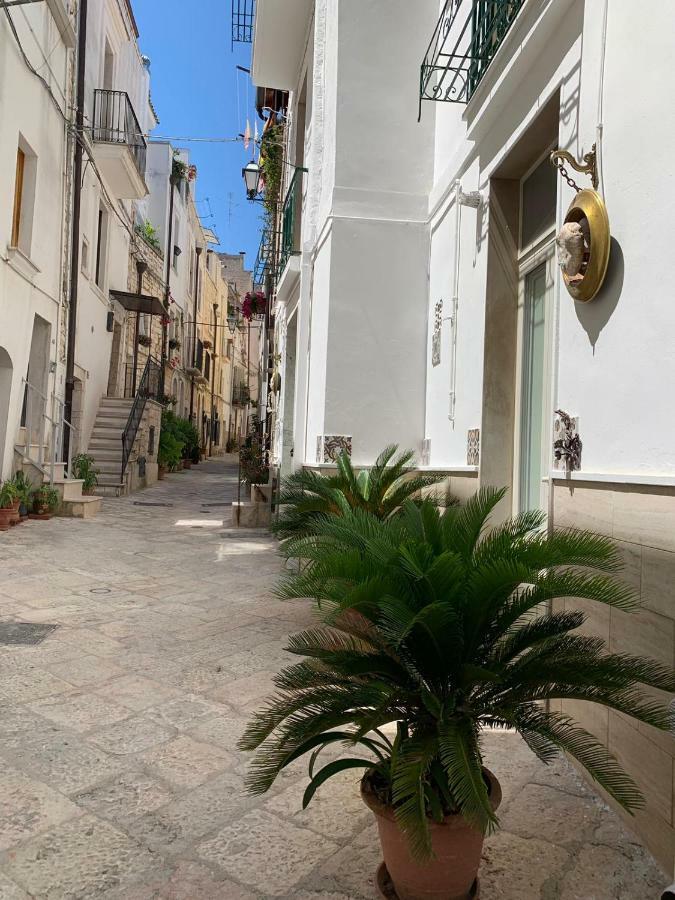 fiori catene tra le torri Conversano Esterno foto