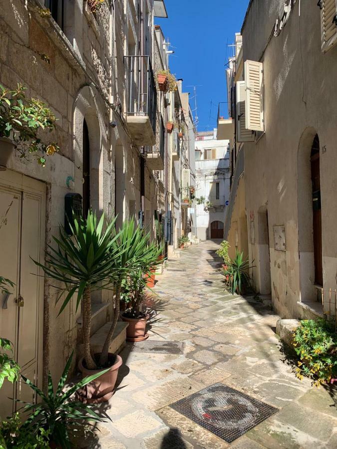fiori catene tra le torri Conversano Esterno foto