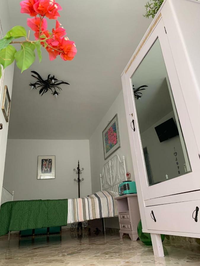 fiori catene tra le torri Conversano Esterno foto